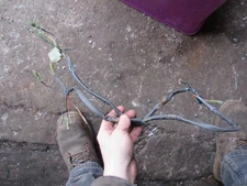 1979 yamaha it400 main wire harness