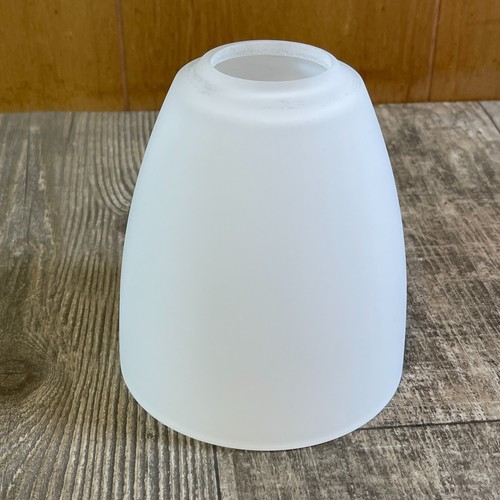 Hampton Bay Solomone 22in 3-Light Bathroom Vanity Light Replacement Globe