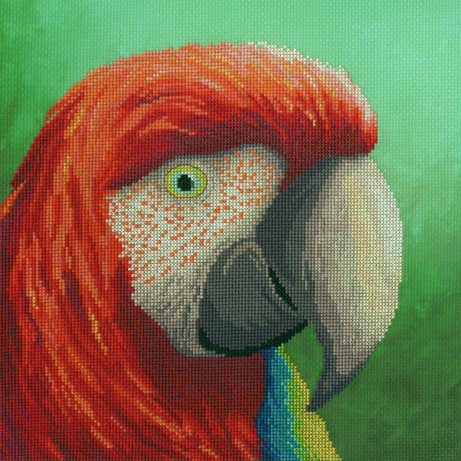Vision (The Menagerie) Cross Stitch Kit By Bothy Threads