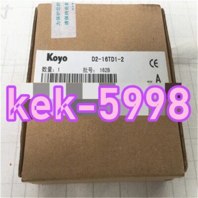 1pcs New KOYO PLC Module Tested D2-16TD1-2#P
