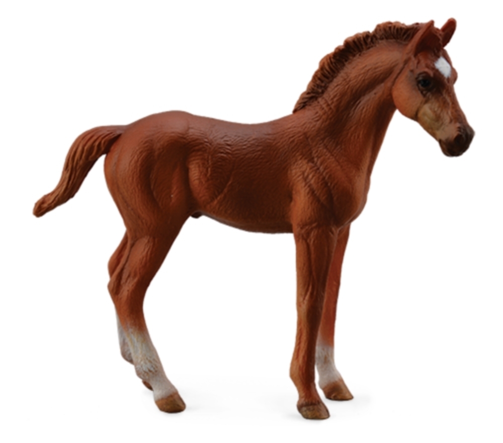 Collecta 88671 Thoroughbred Foal Standing Brown 10 Cm Horse World