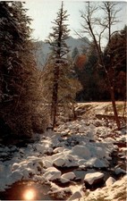 K-91, Great Smoky Mountains National Park, Chimney Tops, Asheville, N. Postcard
