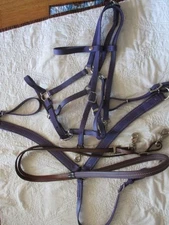 Purple Beta Biothane Halter Bridle Combo tack set, breast collar & purple reins