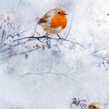 Hoffman Call of the Wild Digital R4561 176 Ice Birds otton Fabric