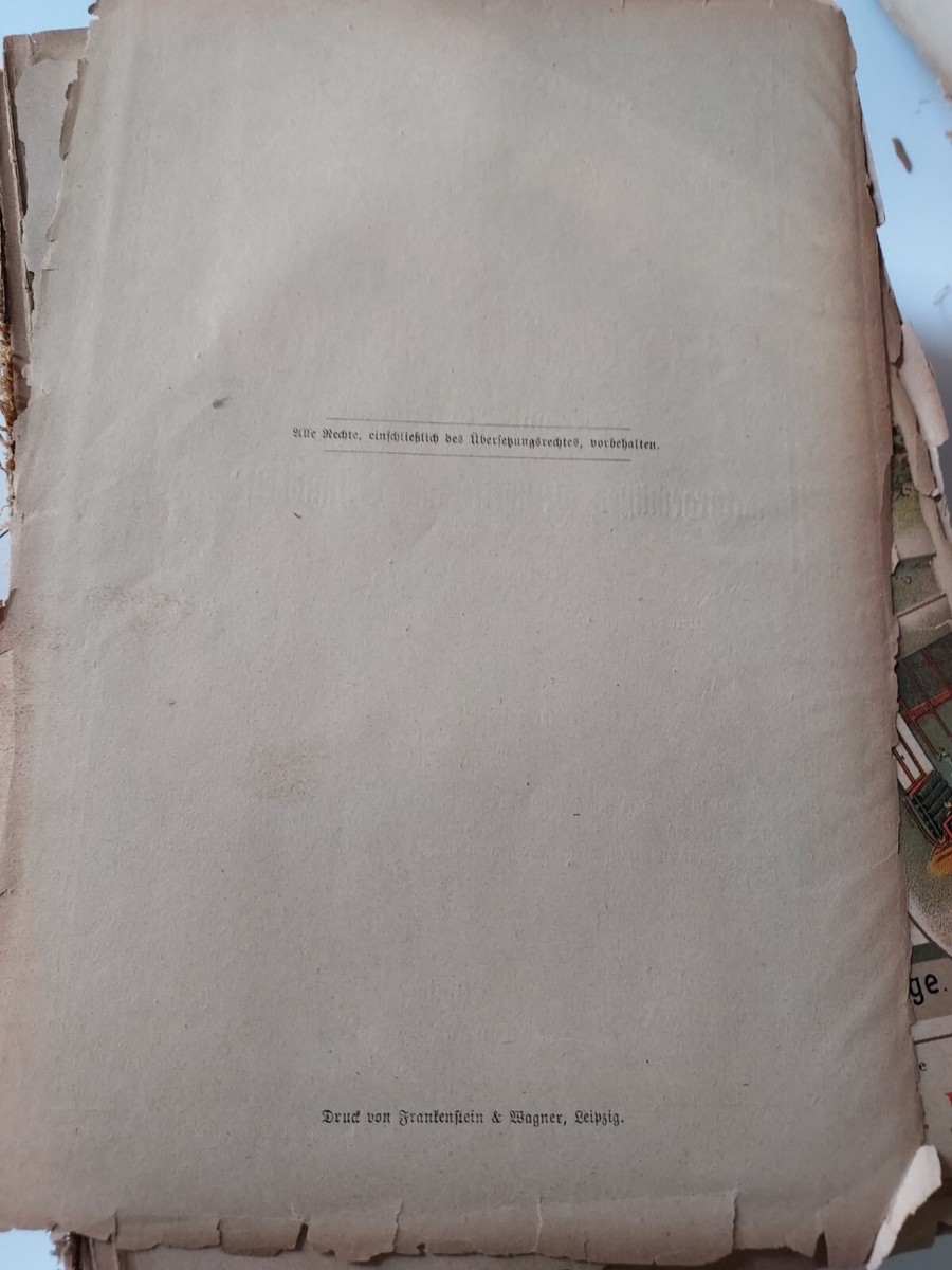 Bilz Natural Healing Process German Medical Book Old Bilz Natural Healing Process German Medical Book Old