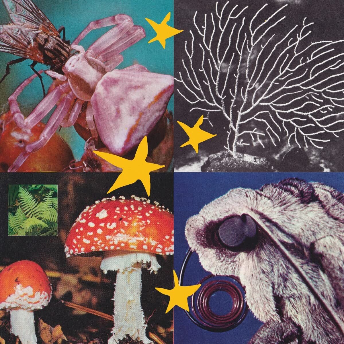 Various Artists All Things Considered Vol.2 (Vinyl LP)