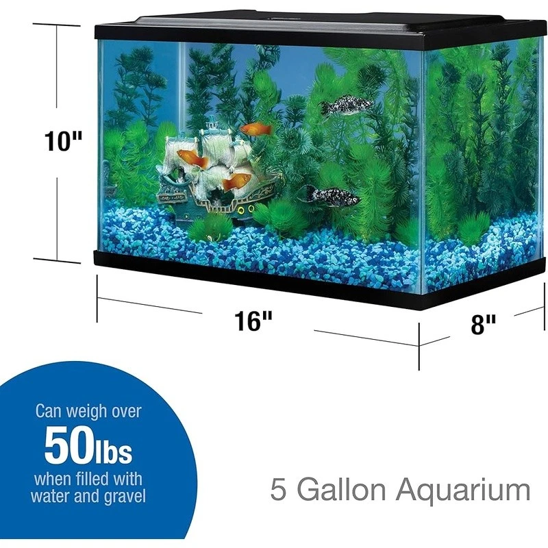 Kit de inicio de peces acuáticos tanque rectangular de vidrio para acuario de 5,5 galones accesorios Foto 2 de 3