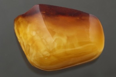 Genuine BALTIC AMBER Egg Yolk Solid Polished Nugget Stone Piece 22.3g 260312-8a
