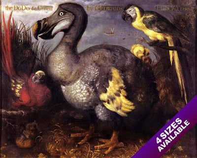 THE MAGNIFICENT & EXTINCT DODO BIRD OIL PAINTING ART REAL CANVAS GICLEE PRINT