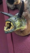 Vampire Demon Bass Taxidermy Fish Mount!