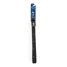 YOULY The Extrovert LED Dog Leash, 6 ft