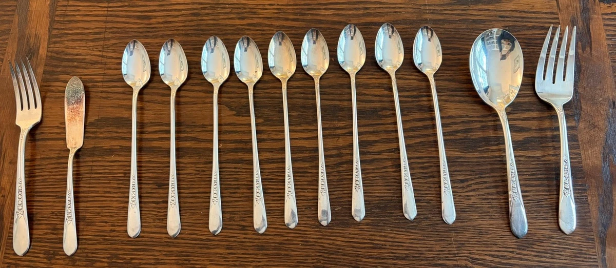 Wm. Rogers & Son Stainless Steel Single Flatware Pieces for sale