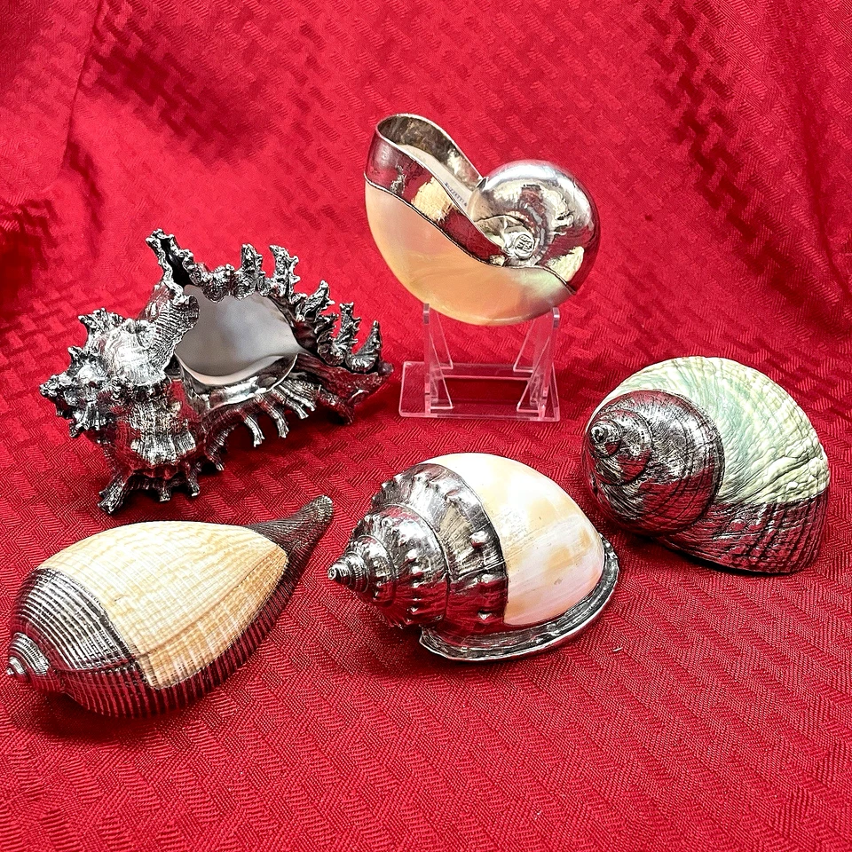 DE COLECCIÓN RUZZETTI Y GOW CONCHAS MARINAS RECUBIERTAS DE PLATA - 5 DISPONIBLES Foto 3 de 4
