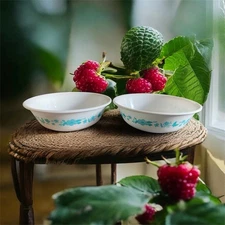 The Pioneer Woman by Corelle 2 Bowls Evie Floral Teal 18oz Limited Edition