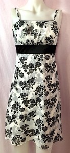 white house black market sundress