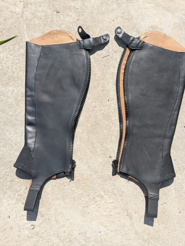 Ariat Close Contour Leather Half Chaps Black XL