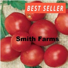 50 Seeds Alaskan Fancy Tomato Juicy Easy to Grow Vegetable Garden Planting