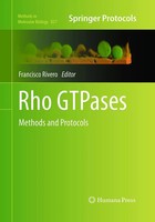 Francisco Rivero | Rho Gtpases | Taschenbuch | Englisch (2016) | Xiv | Humana
