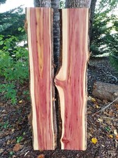 Cedar slabs 2 thick set  Live Edge  River Table Set epoxy set 