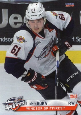 Luke Boka 2018-19 Windsor Spitfires