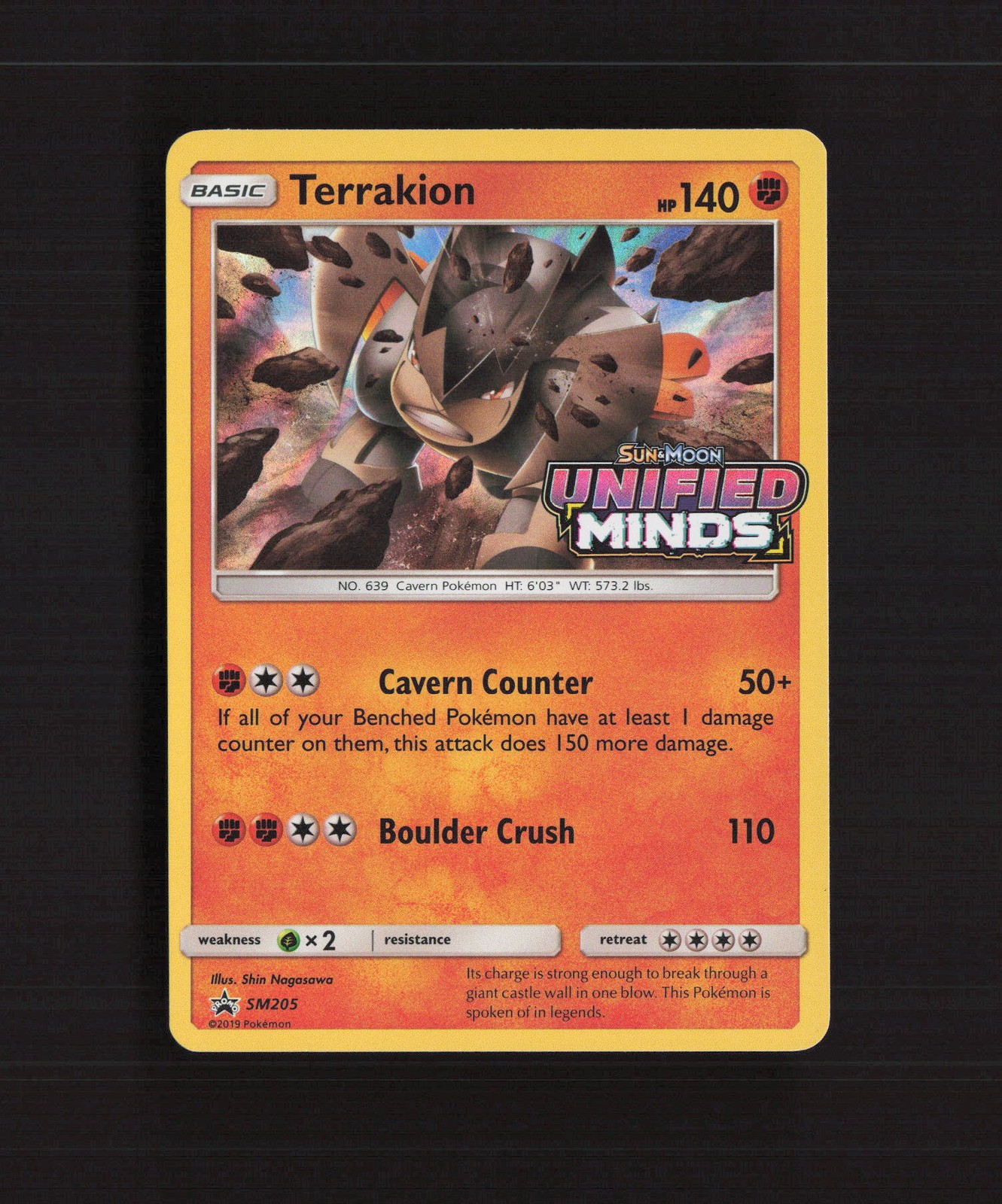 Terrakion SM205 Sun & Moon Stamped Black Star Promo Holo Pokemon Card LP+