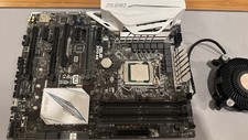 Asus Motherboard Intel cPU