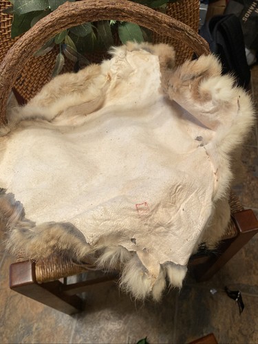 Vintage Native American Like Basket Made W/ Conchos/Husk /Rabbit Fur & Feathers - Picture 15 of 20