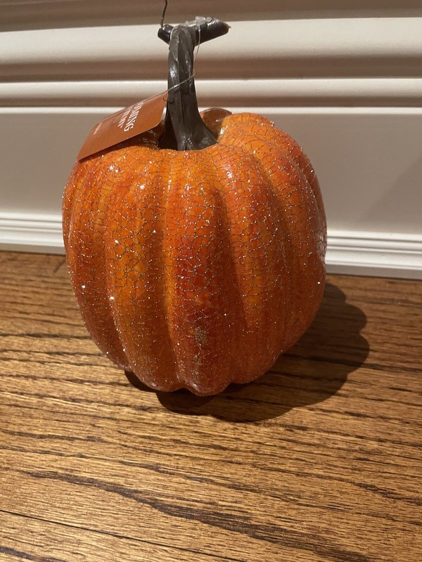 BRAND NEW HALLOWEEN FROSTED GLITTER PUMPKIN 