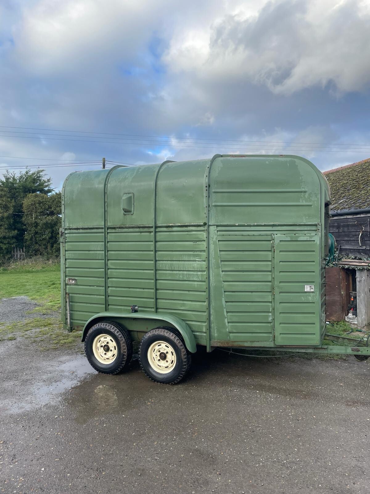 rice horse box trailer eBay