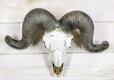Rustic Majestic Texas Corsican Ram Skull With Horns Wall Decor Trophy 13"Wide