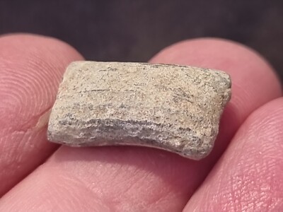 Wikinger Bleiperle in England gefunden in ungereinigtem wie Fundzustand. LA59b