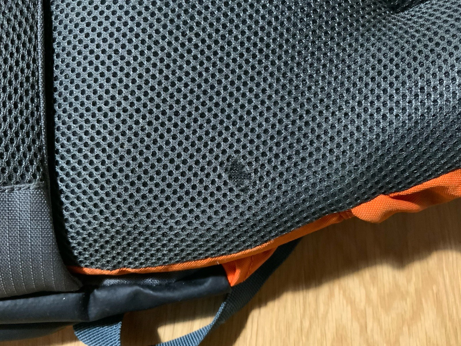 Foto 10 di 12