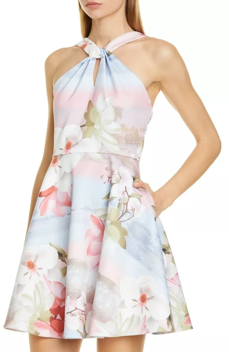 Ted baker top blue floral dress