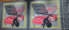 Dale Earnhardt Jr. 8 NASCAR Graphic Fabric Panel Gray Red 2004 Licensed 18 x 44