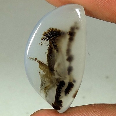 100% Natural Scenic Dendrite Agate Fancy Cab Rare  Gemstones 28x16x04mm 11.65Cts