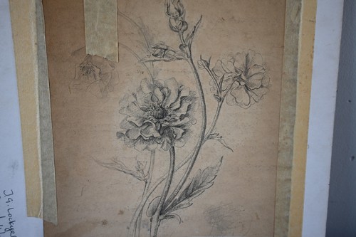 RARE T. LOCKYER ROYAL WORCESTER STILL LIFE FRUIT FLOWER PAINTING Damson Plums - Picture 10 of 13
