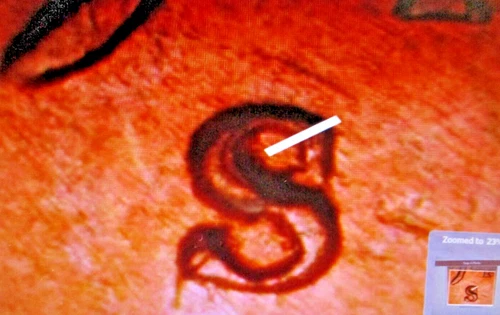 1945-S LINCOLN WHEAT CENT RPM 19 S OVER S   GEM BU   XO