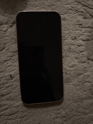 Apple iPhone 16 Pro Max - 256 GB - Beige (Unlocked)