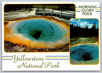 Morning Glory Pool Yellowstone National Park Colorfl Postcard Upper Geyser Basin