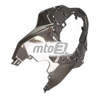 Carbon Heckverkleidung FüR BMW S 1000 RR / M 1000 RR 2023-