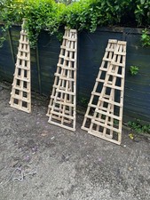 Trellis pyramid shape (3 sizes)
