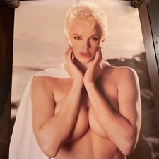 Affiche taille porte Brigette Nielsen 1988 STARMAKERS #DP19 25”x74 1/2”