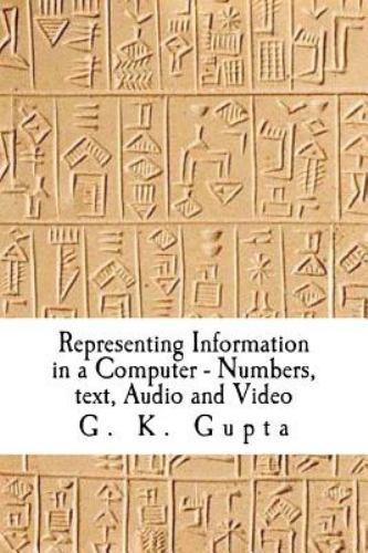Representing Information in a Computer : Numbers, Text, Audio and Video ...