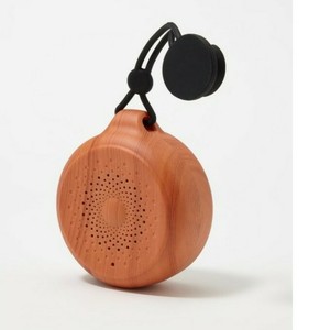 gabbagoods shower speaker