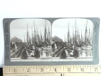 Esbjerg Denmark Stereoview Underwood & Underwood 1905 Shipping Dock