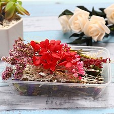 Dekorieren Sie mit Trockenblumen Verleihen Sie Ihrem Zuhause eine natrliche un