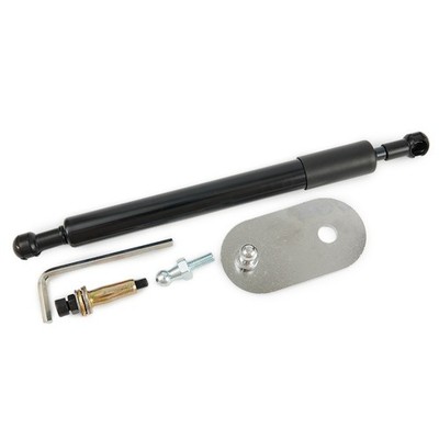 DZ43301 Assist Shock LKW Zubehör Für 2009-2018 Dodge-Ram 1500/3500 Dee/Zee