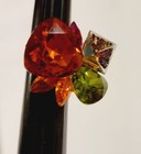 Foto 13 di 14