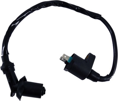 Zündkerzenstecker für Beta 2000 Eikon 125 S70
