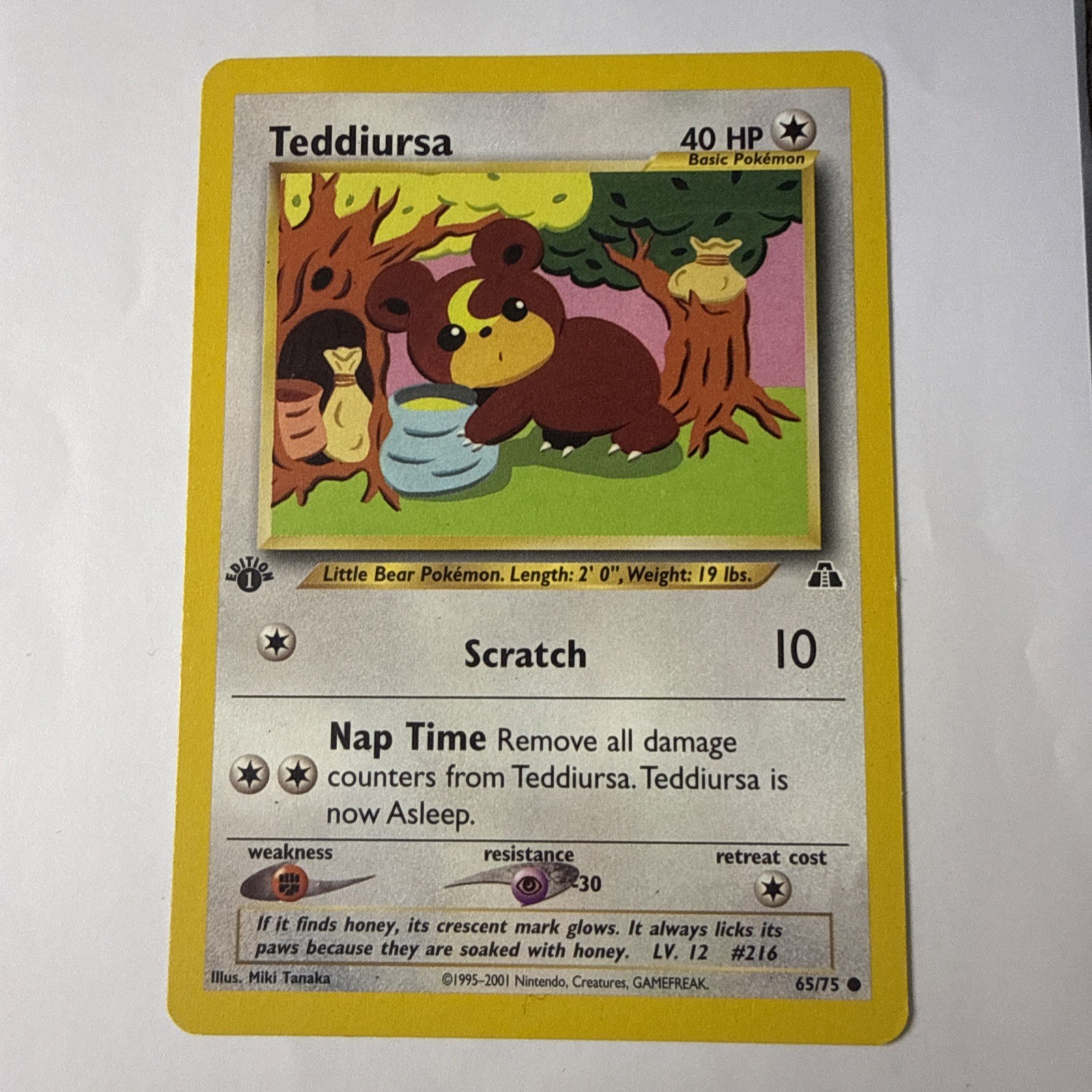 1st Edition Teddiursa 65/75 - Neo Discovery - Near Mint